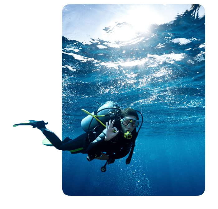 Diver