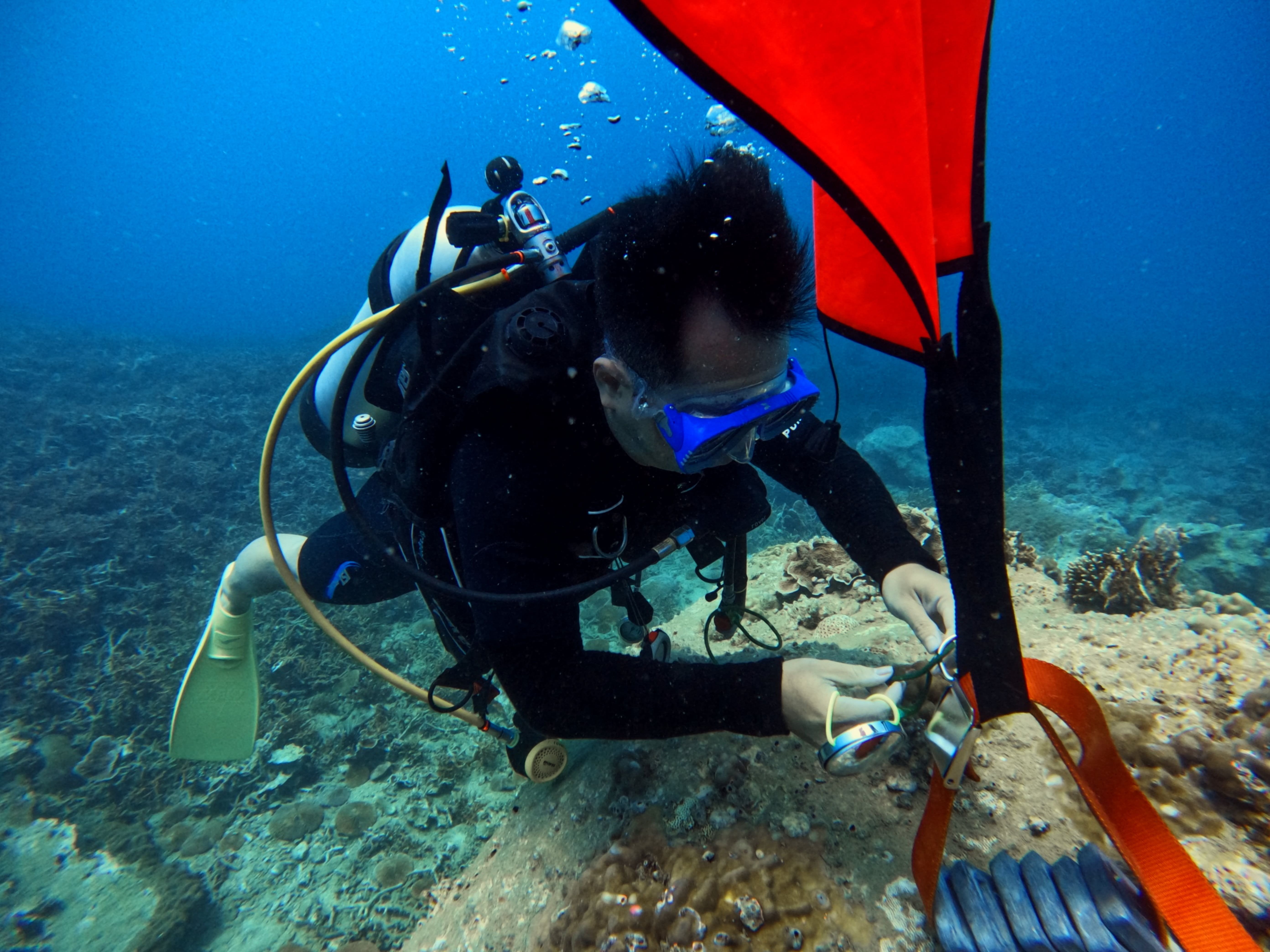 Advanced Open Water Diver