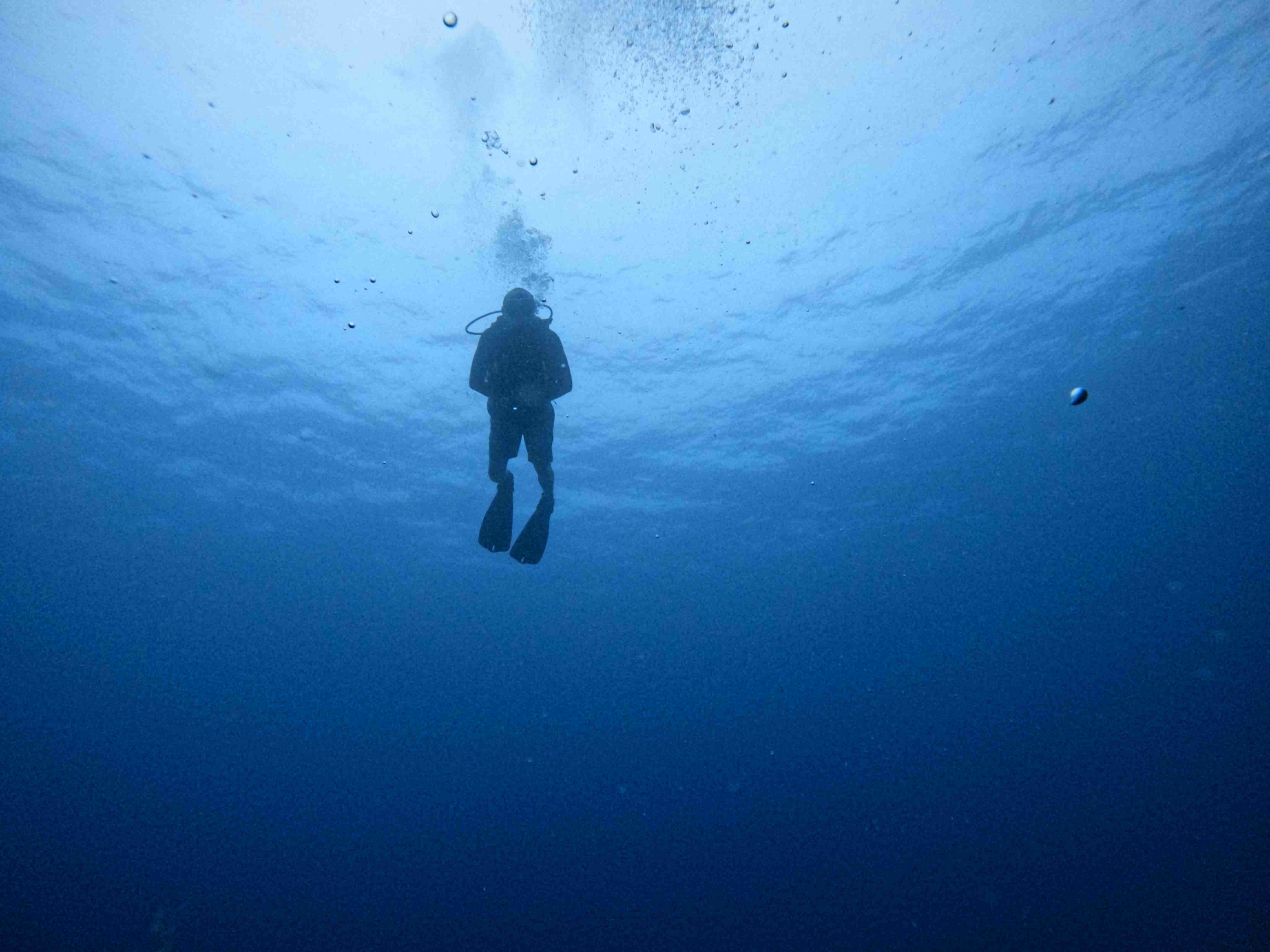 Padi-dive-master-chuyen-gia-lan