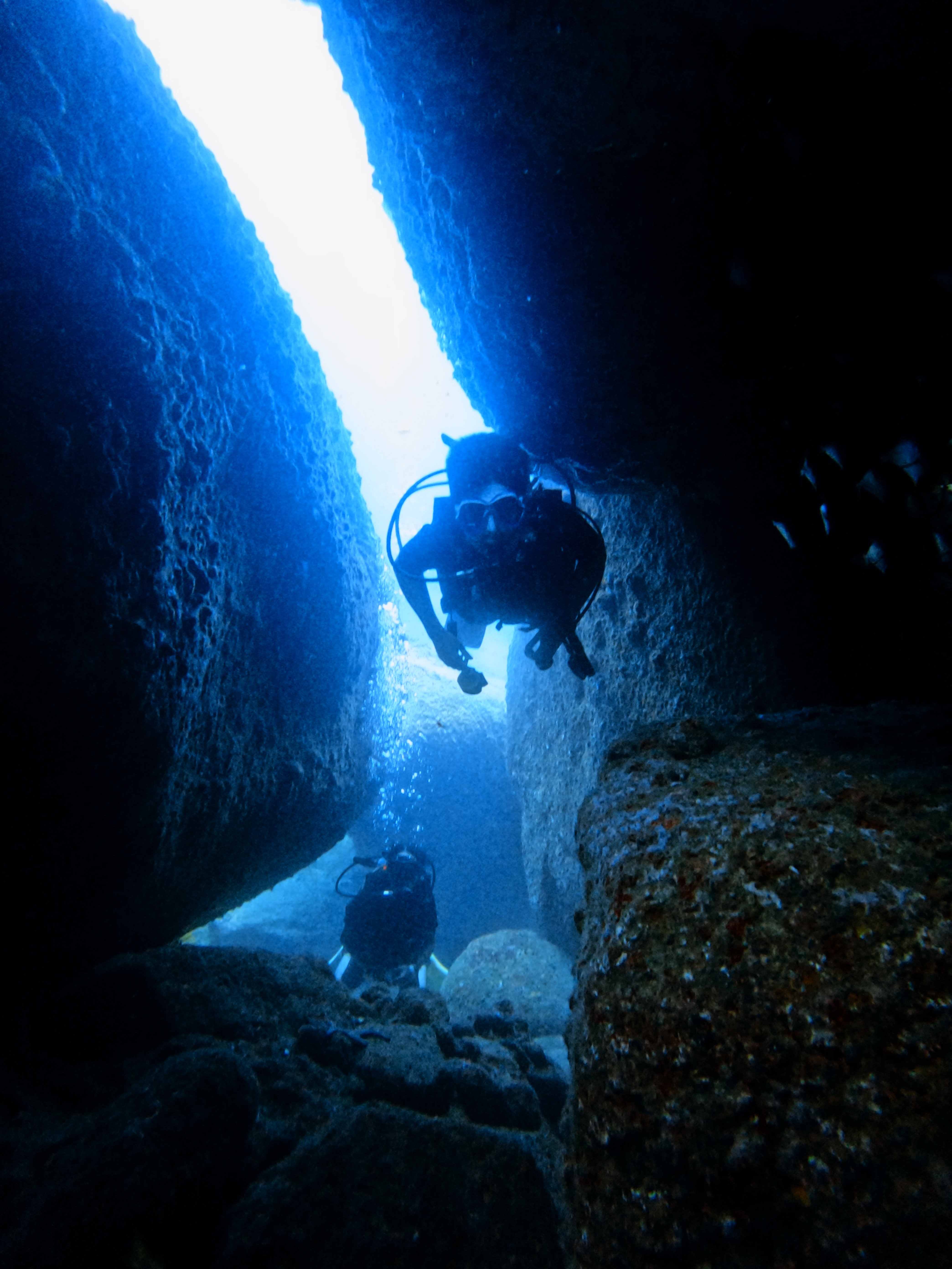 Padi-dive-master-chuyen-gia-lan