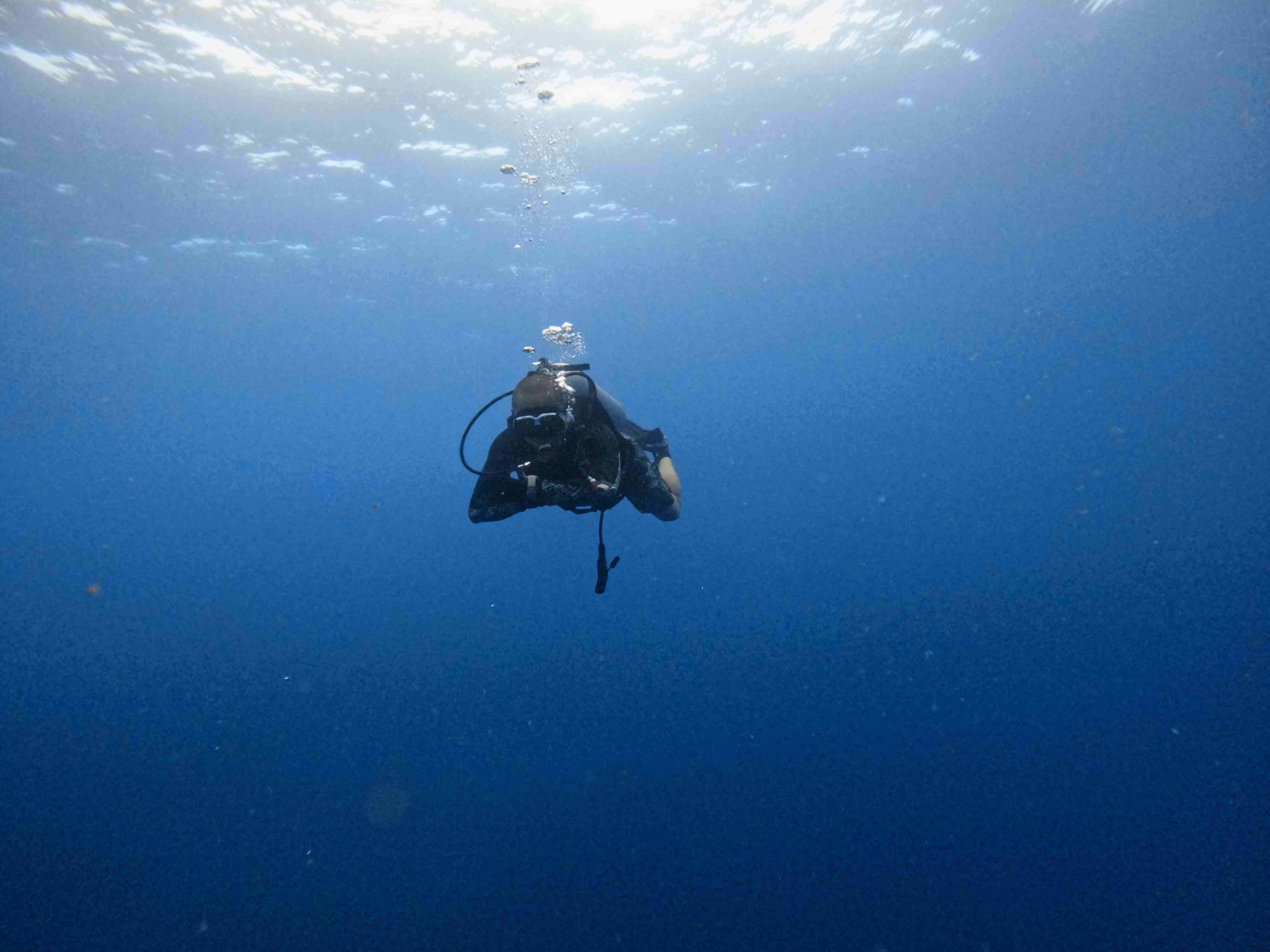 Padi-dive-master-chuyen-gia-lan