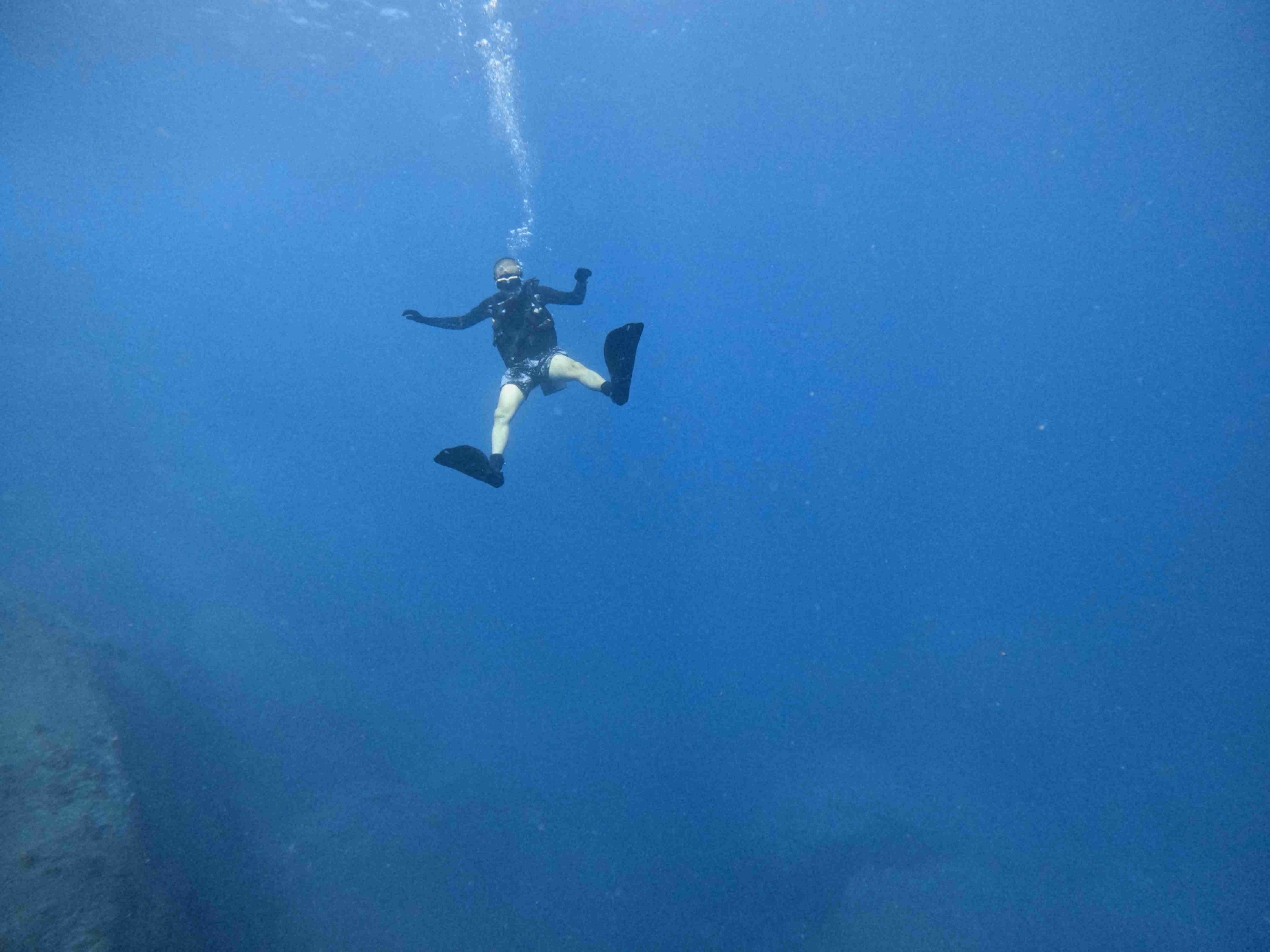 Padi-dive-master-chuyen-gia-lan