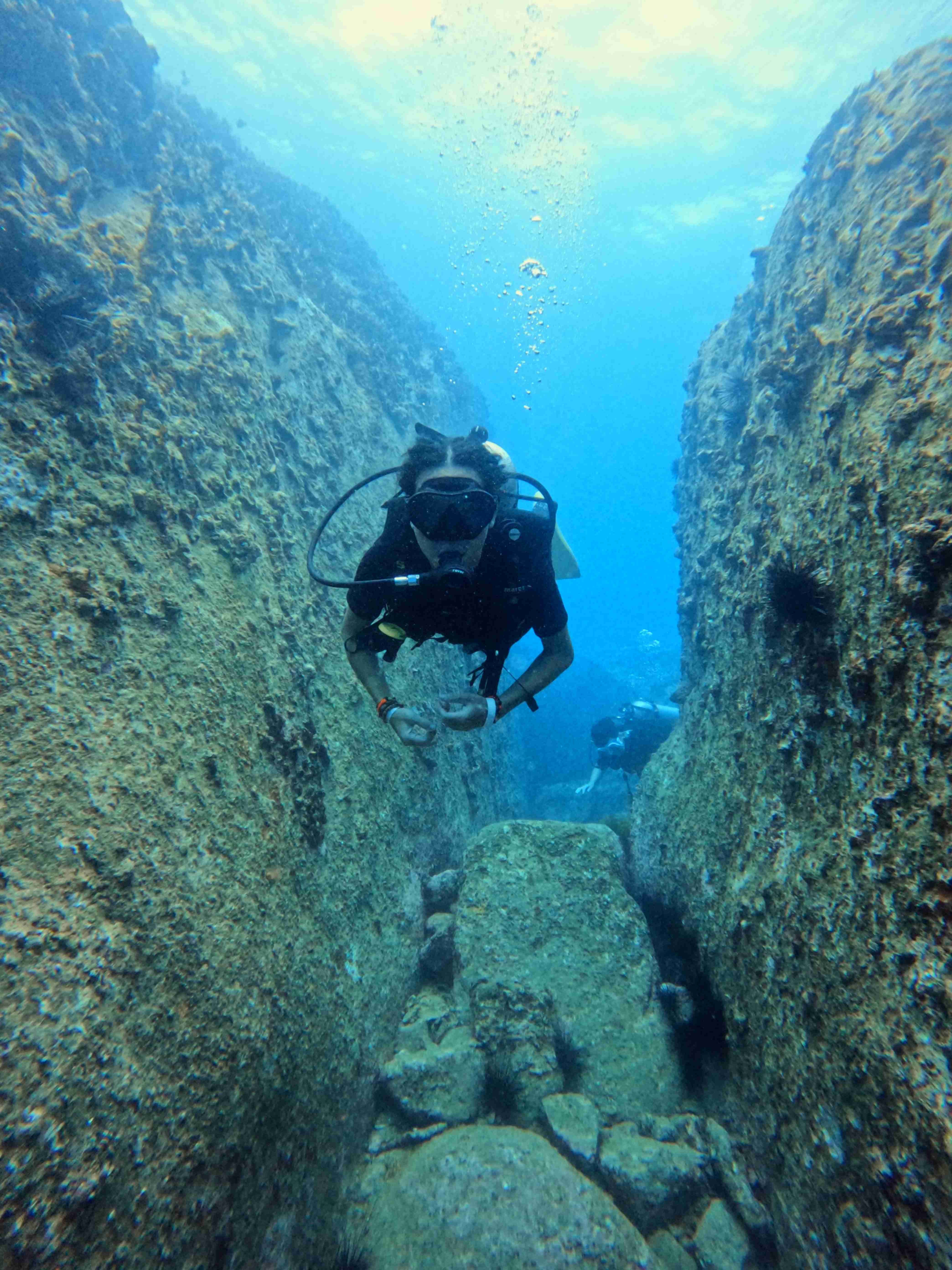 Padi-dive-master-chuyen-gia-lan