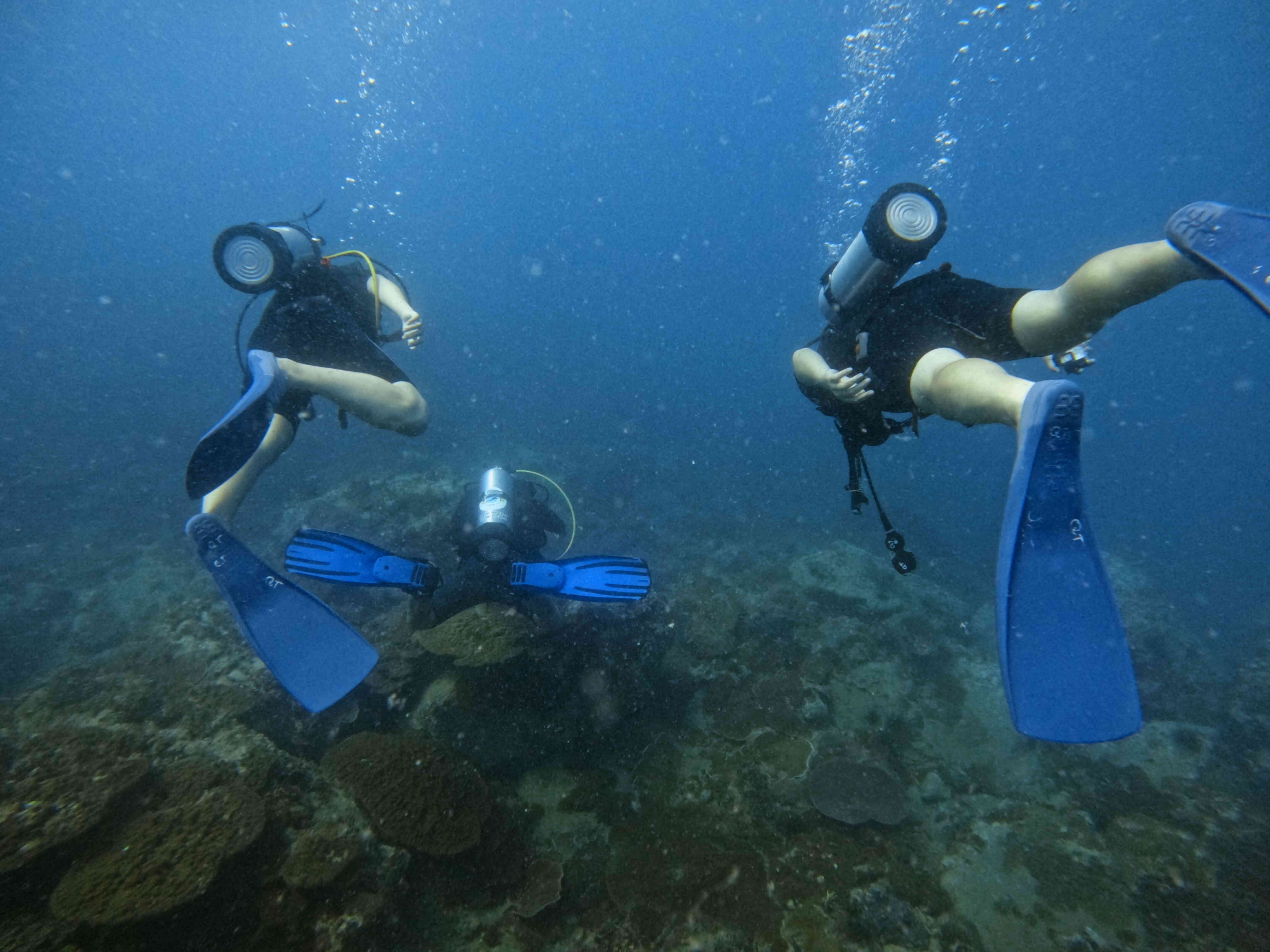 padi-scuba-diver-12m-03
