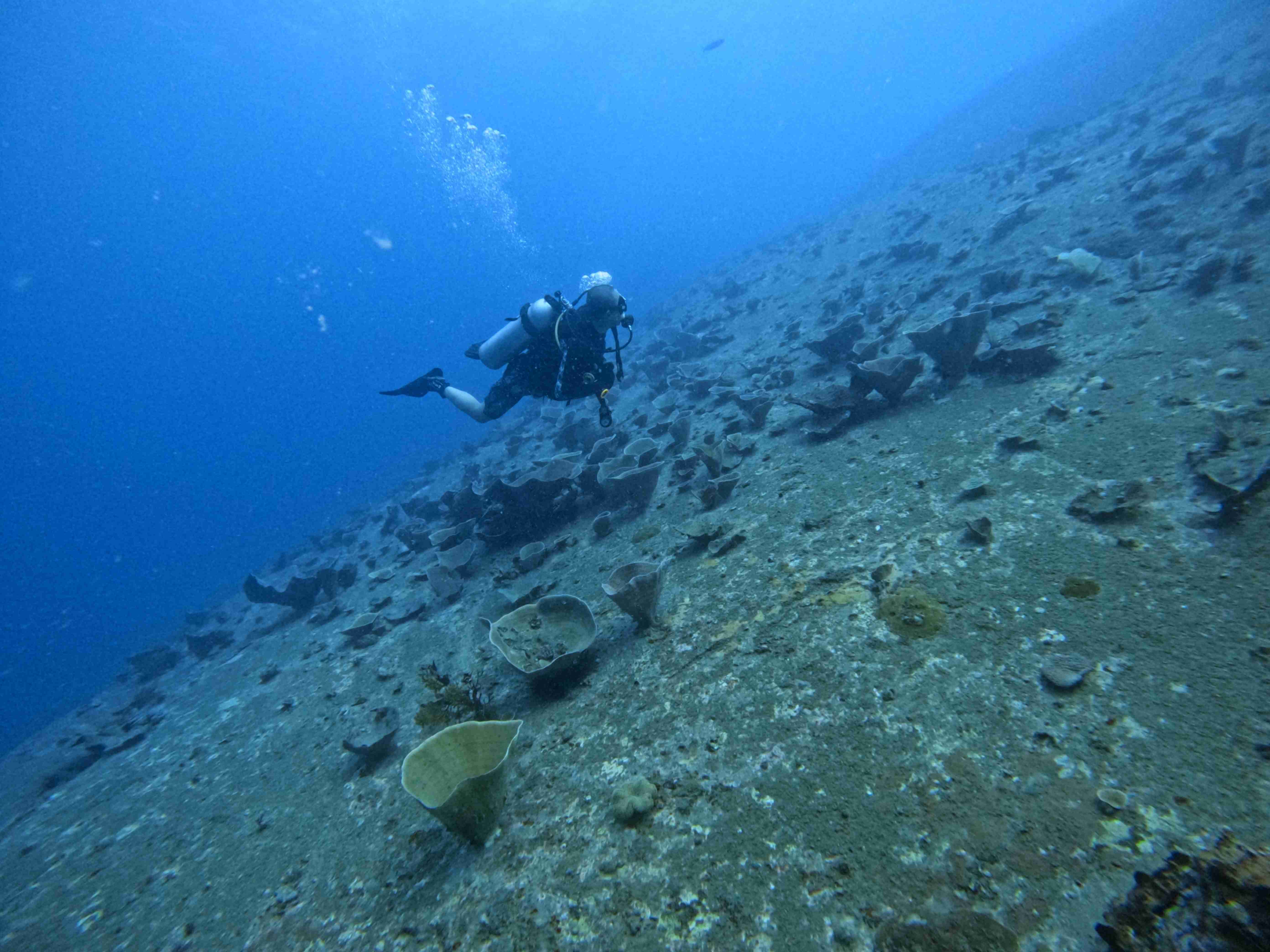 padi-night-diver