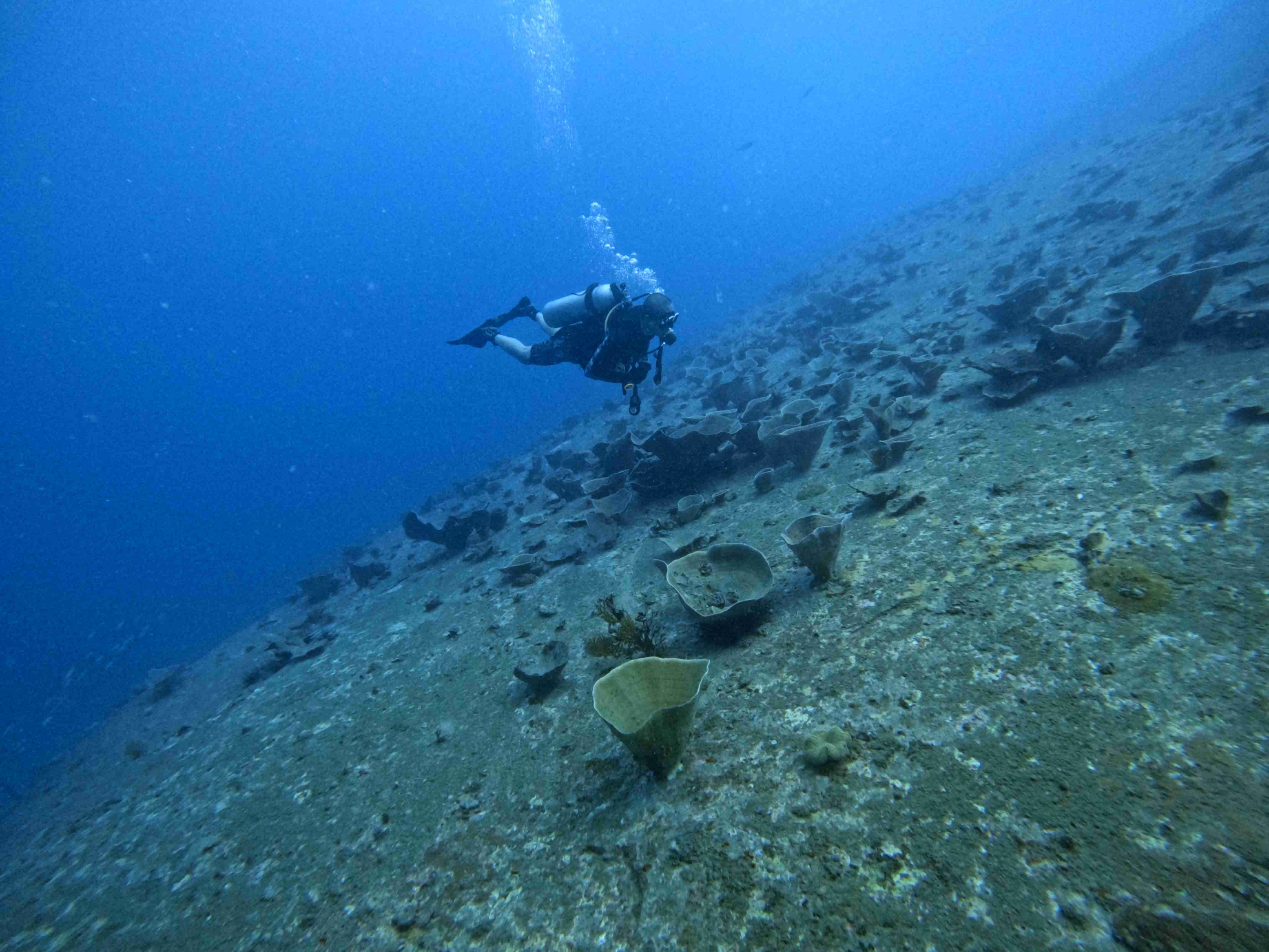 padi-night-diver