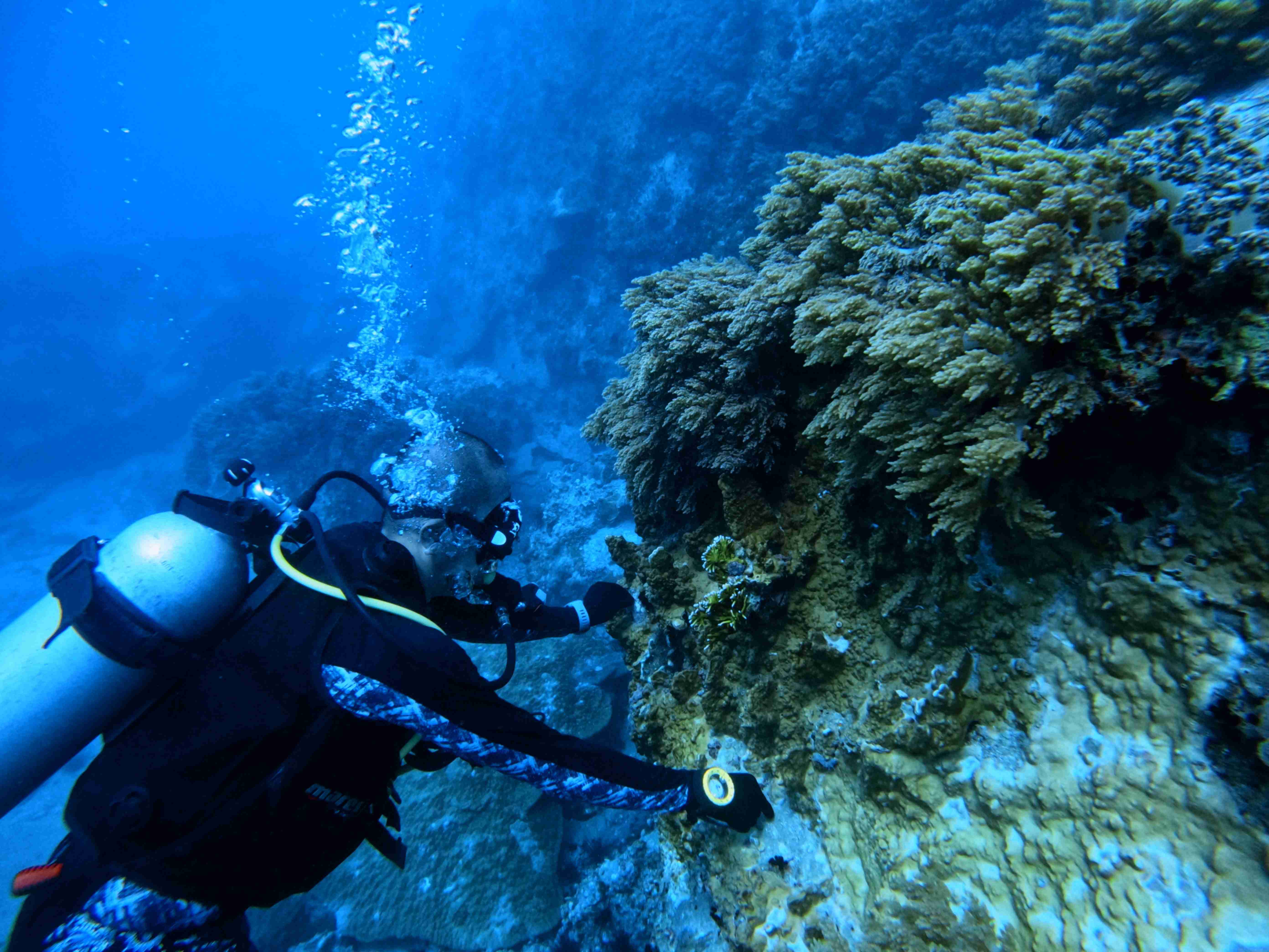 padi-night-diver