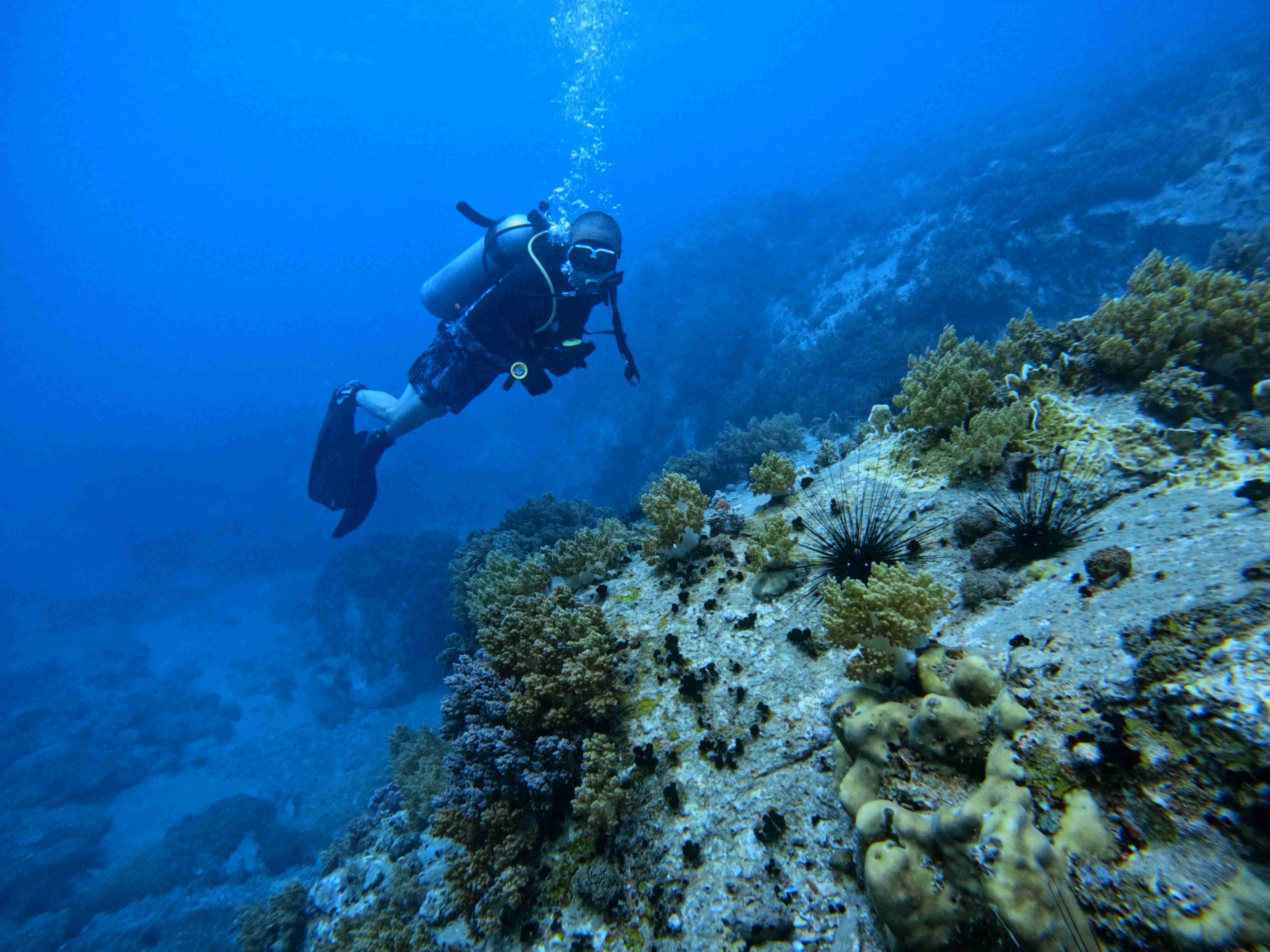 padi-night-diver