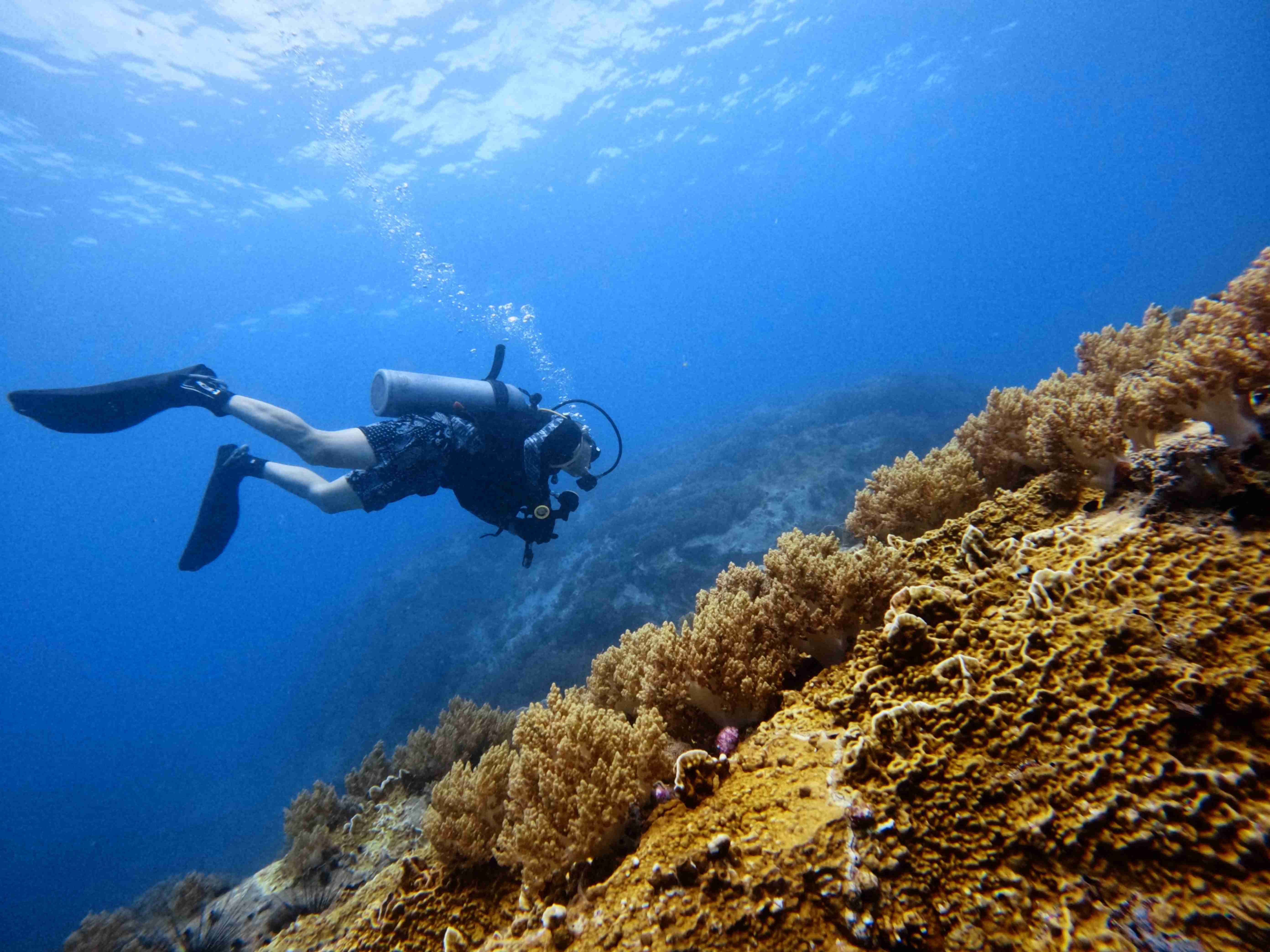 padi-night-diver