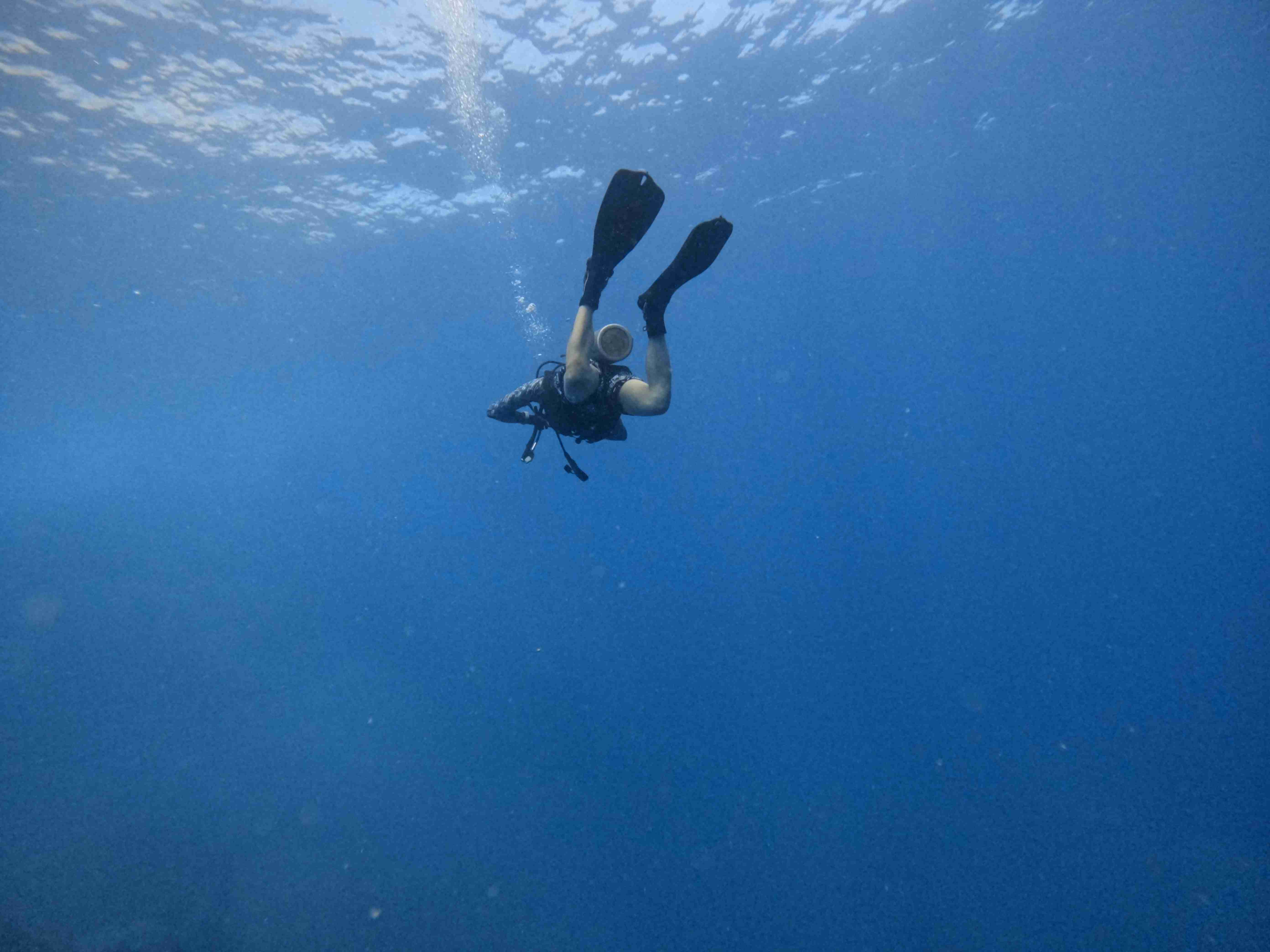 padi-night-diver