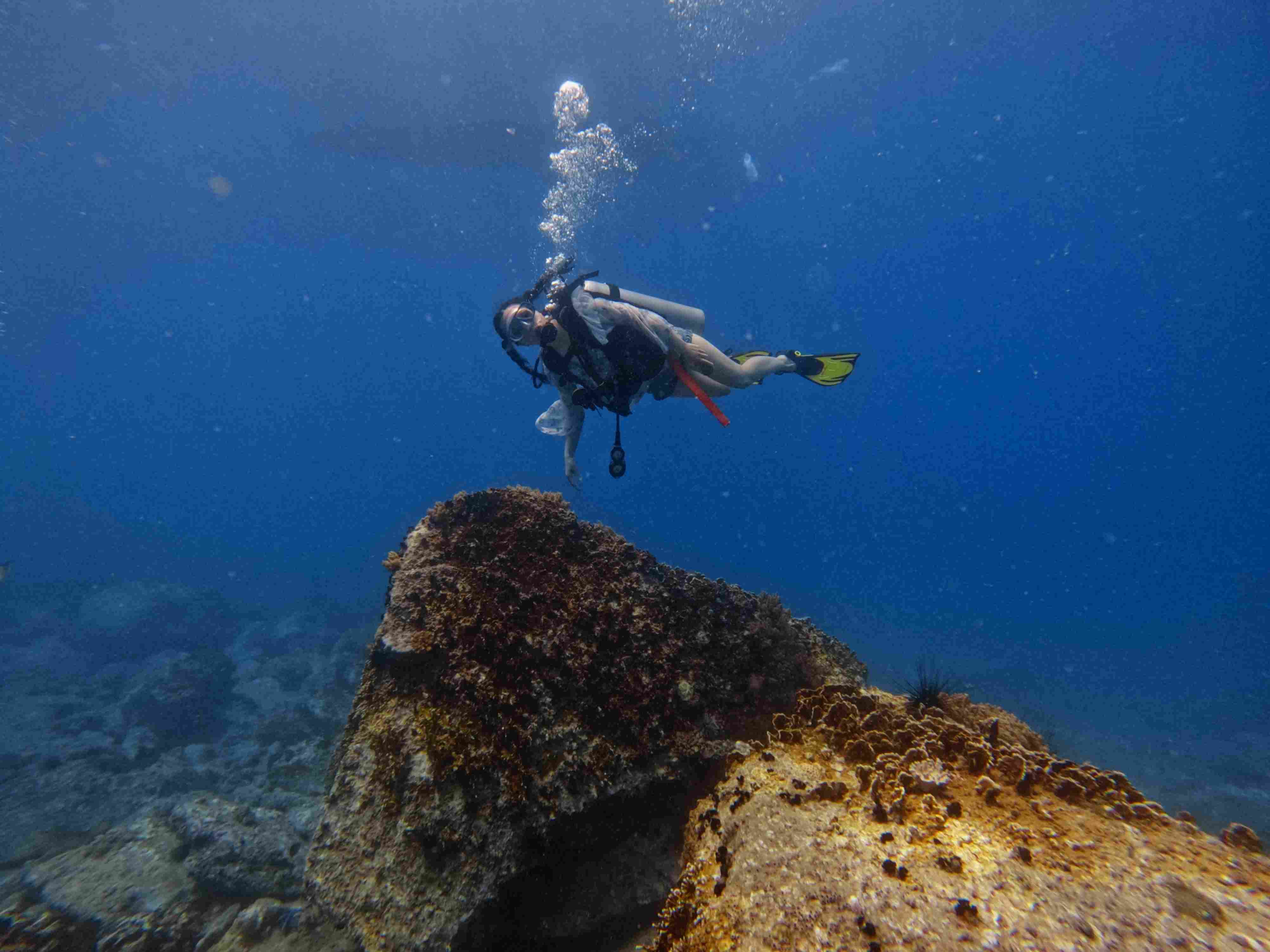 fun-diving-hon-bac
