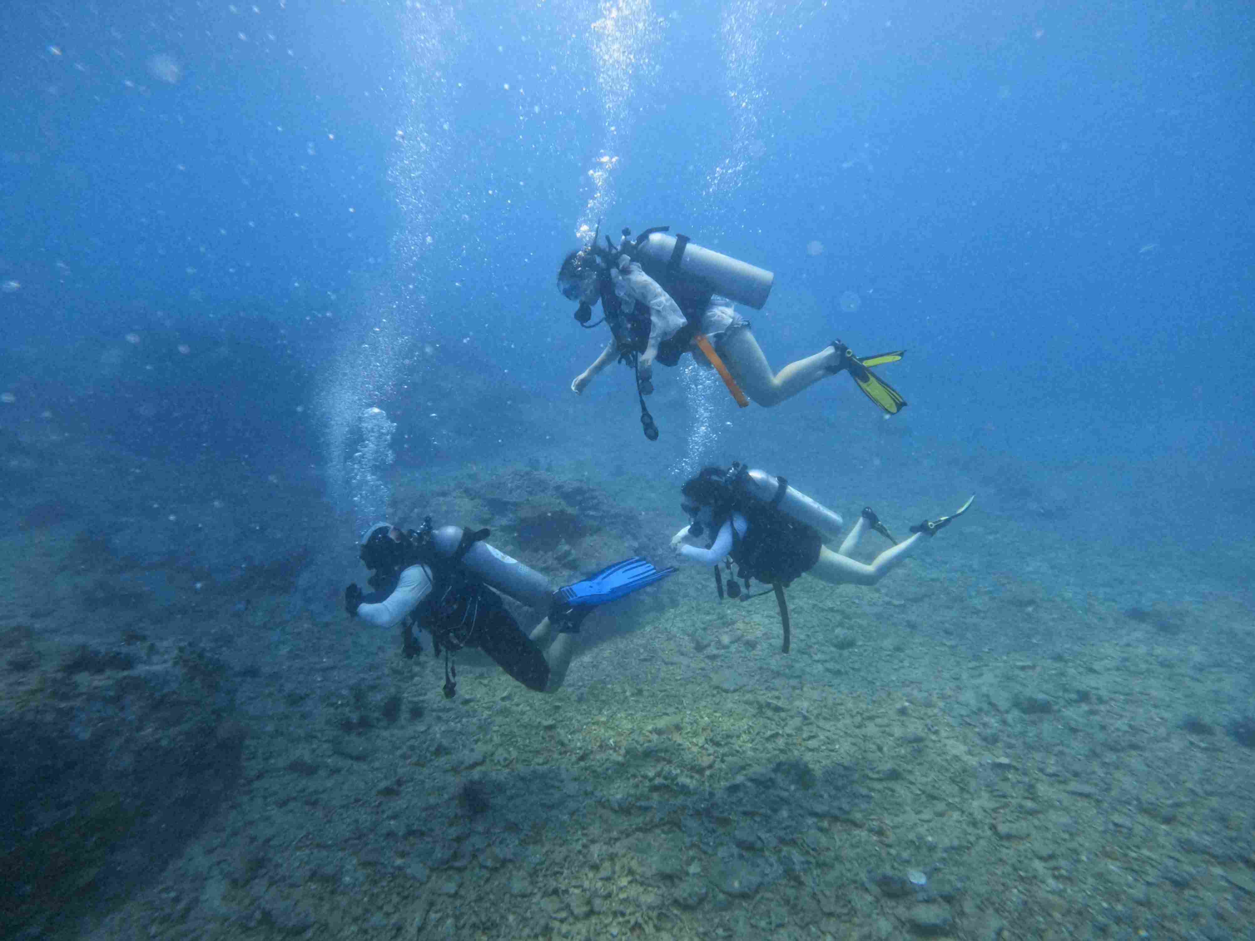fun-diving-hon-bac