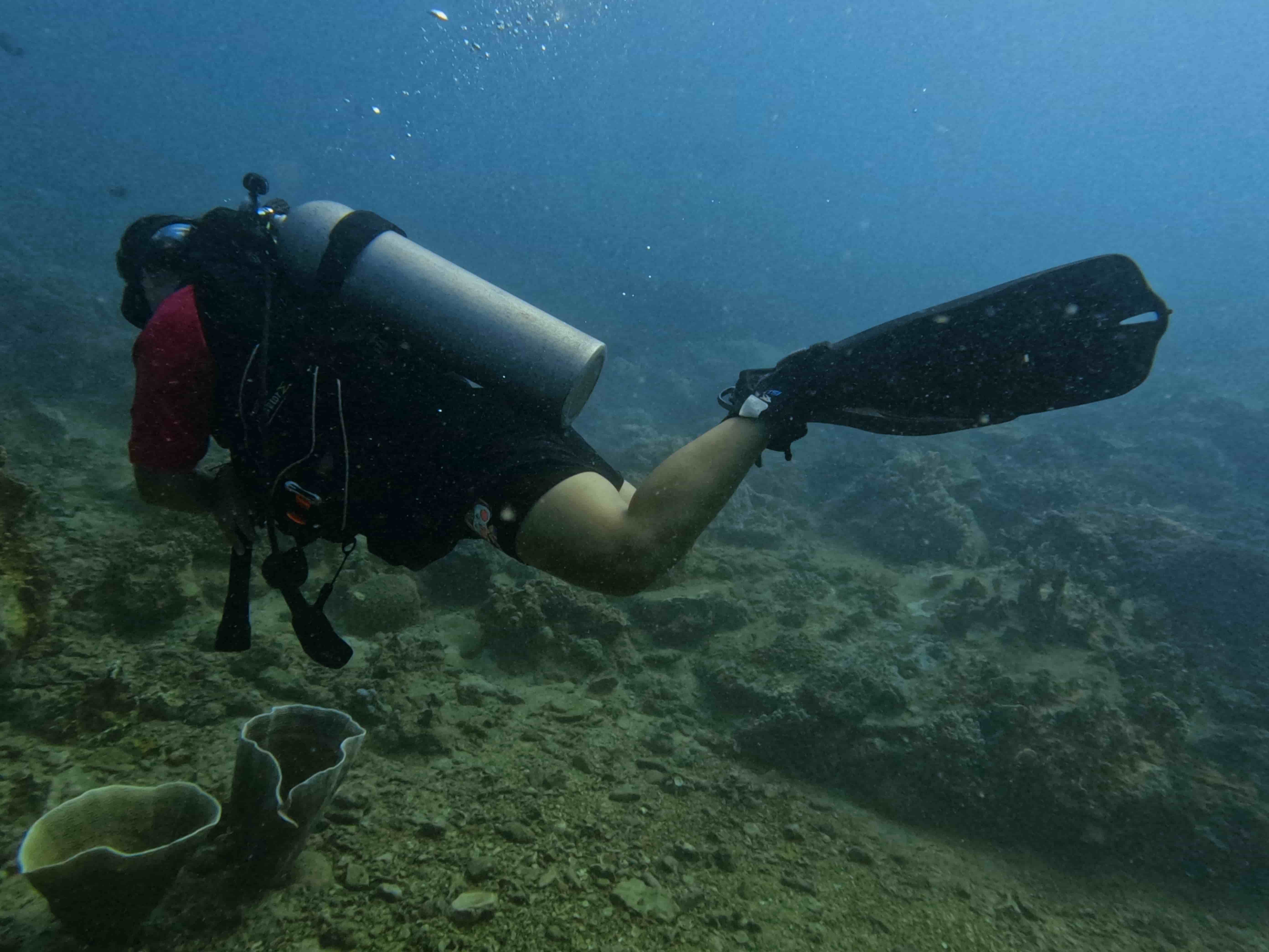 padi-deep-diver-lan-sau