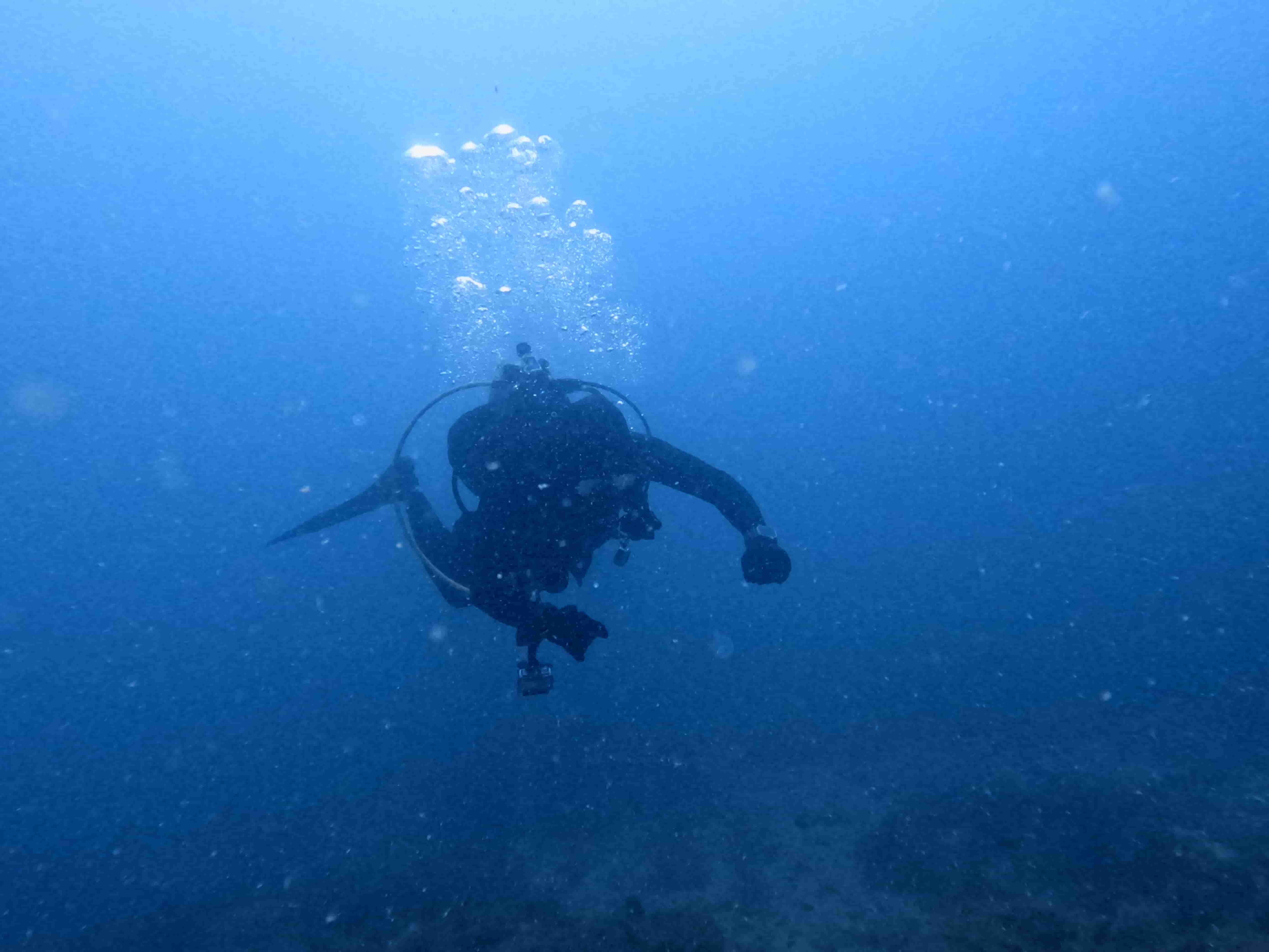 padi-deep-diver-lan-sau