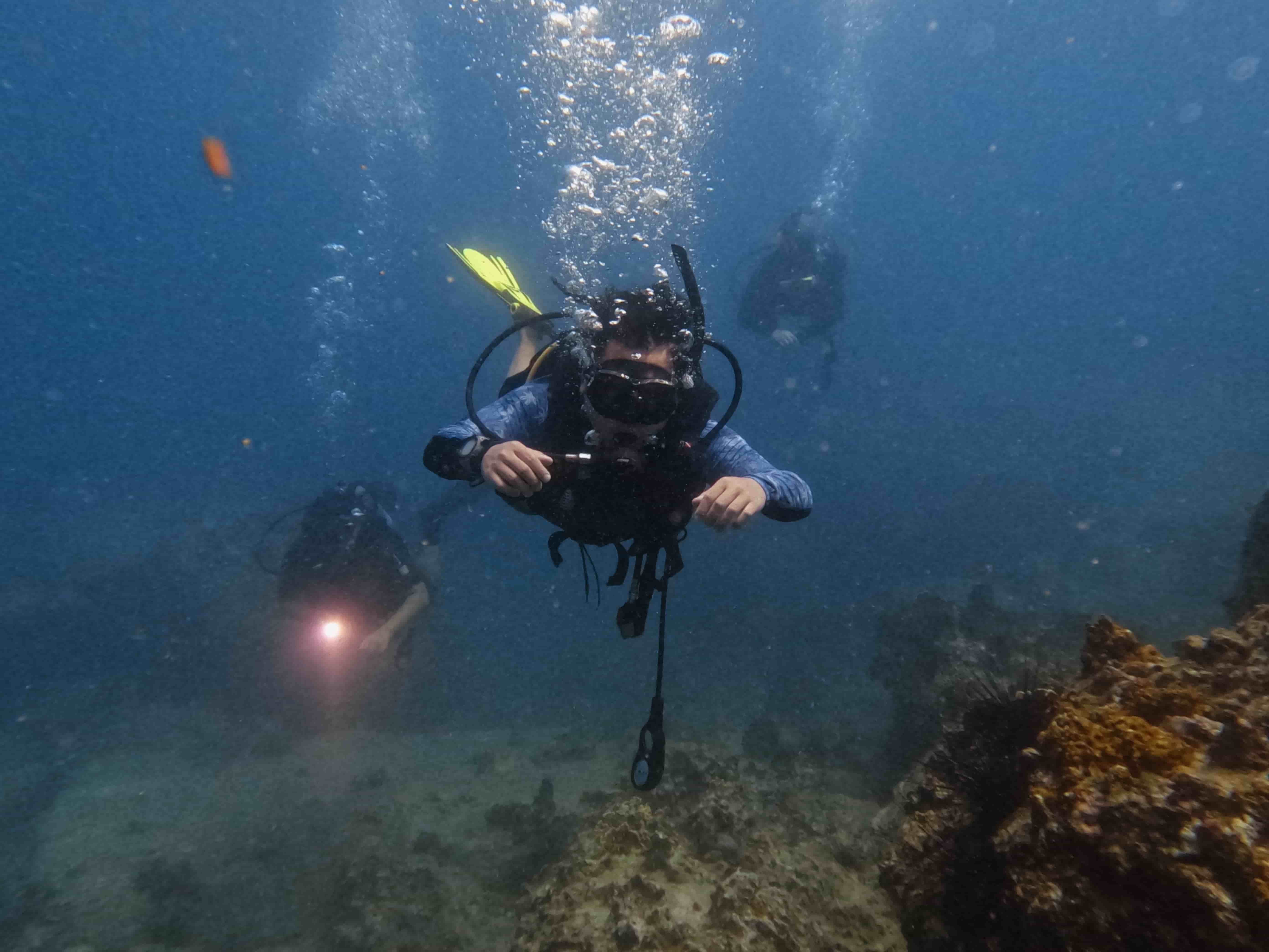 padi-deep-diver-lan-sau