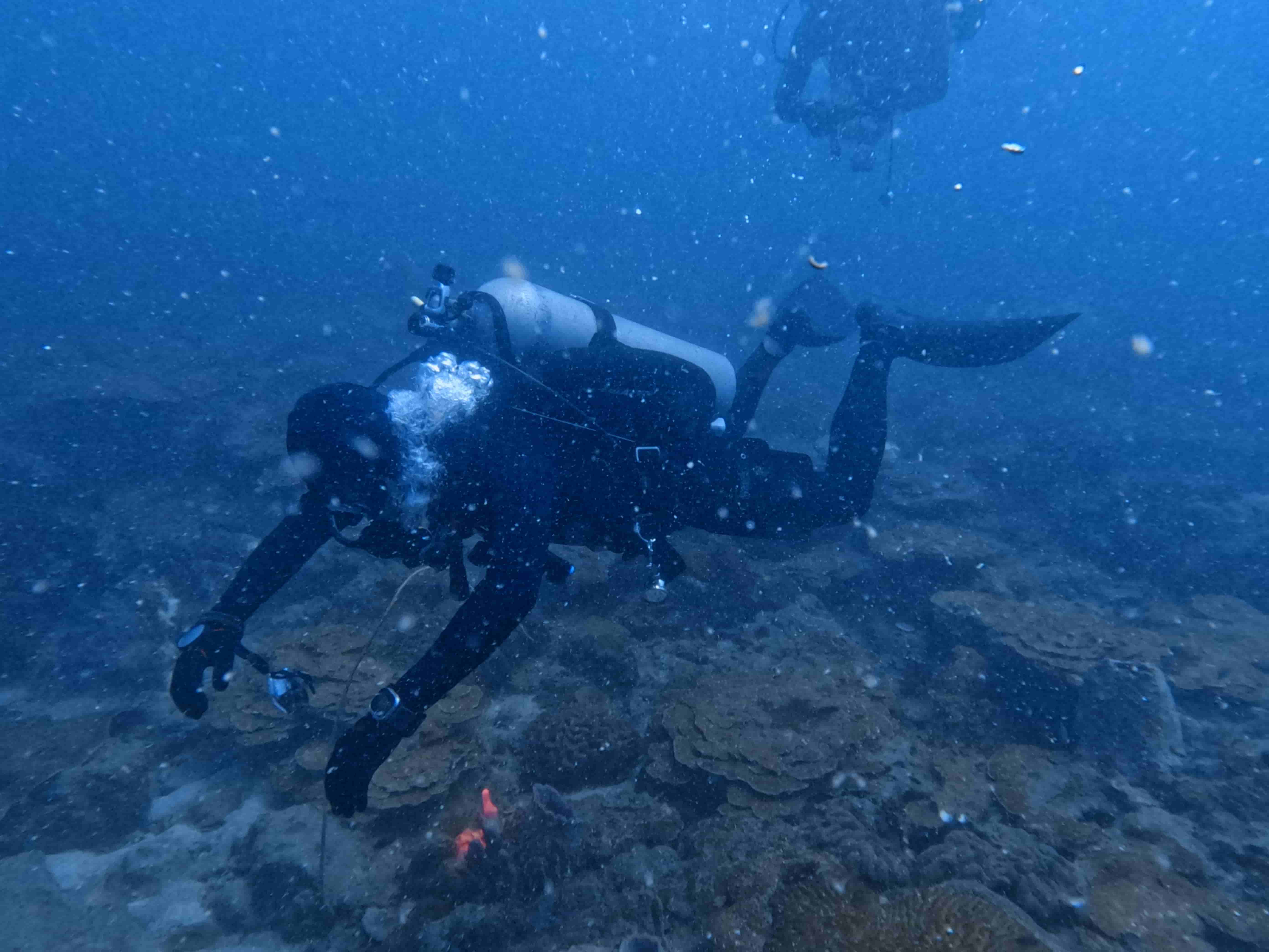 padi-deep-diver-lan-sau