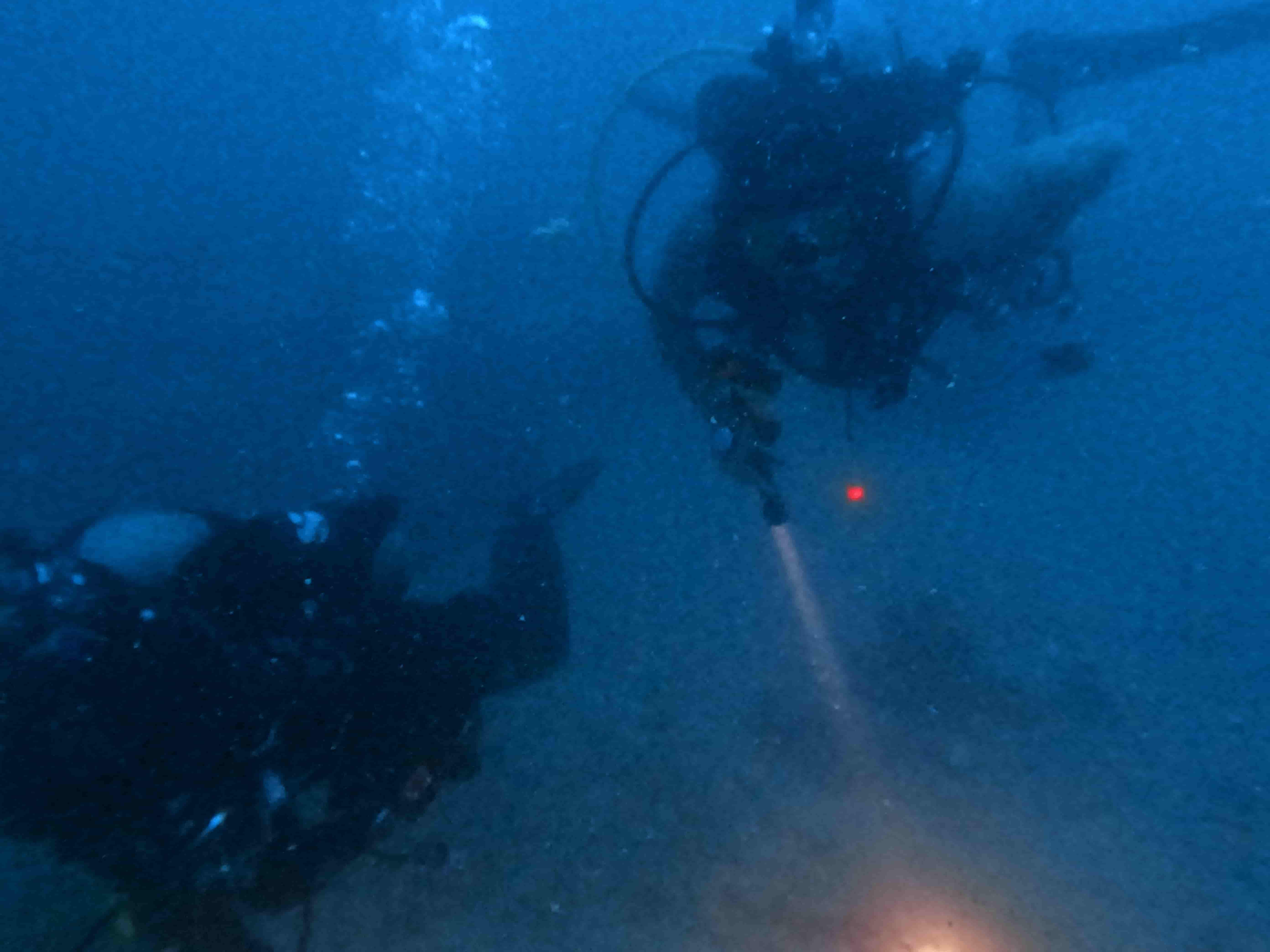 padi-deep-diver-lan-sau