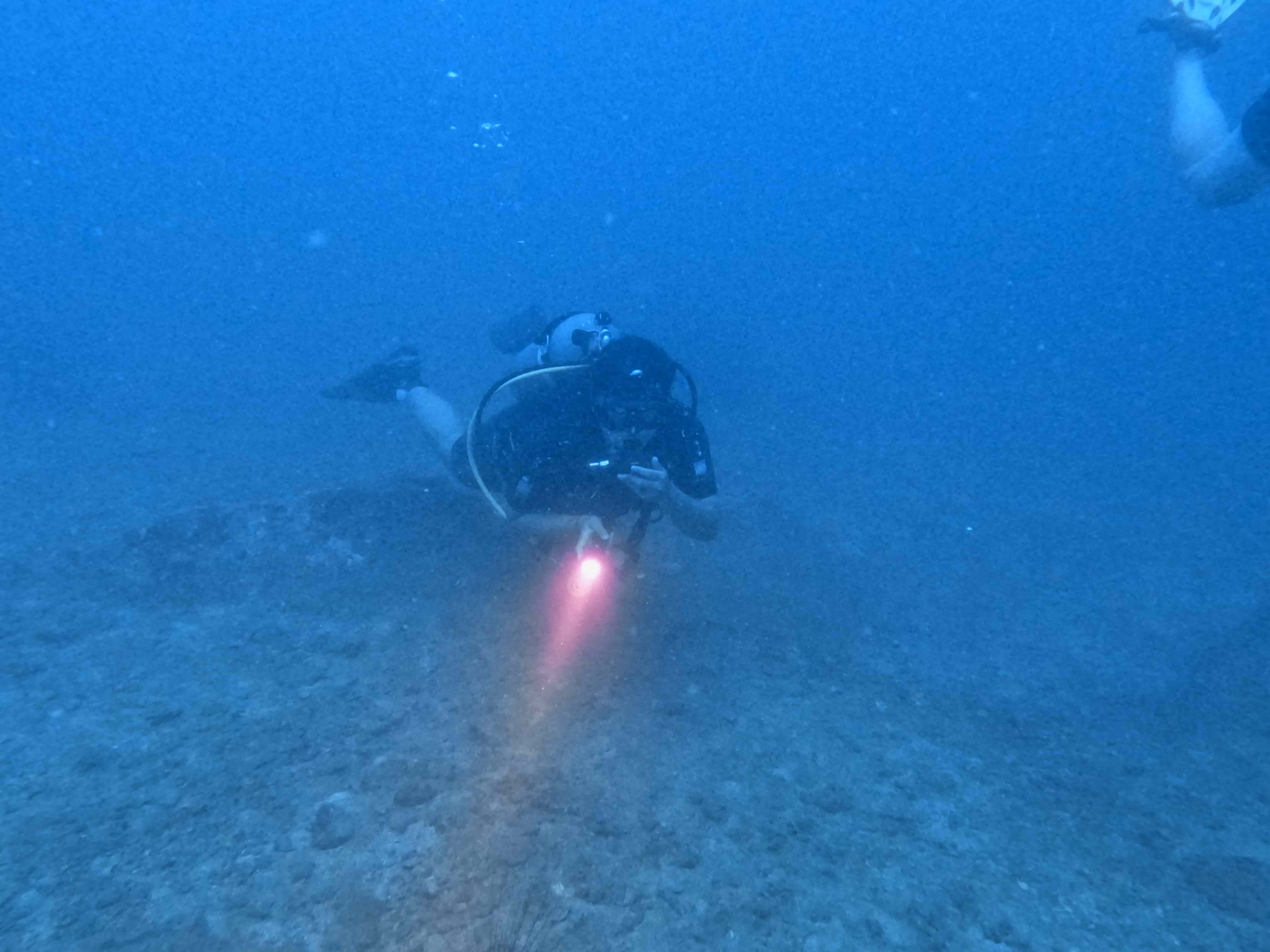 padi-deep-diver-lan-sau