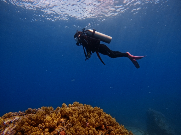 padi-open-water-diver-06