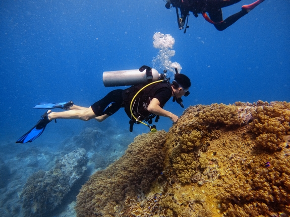 padi-open-water-diver-03