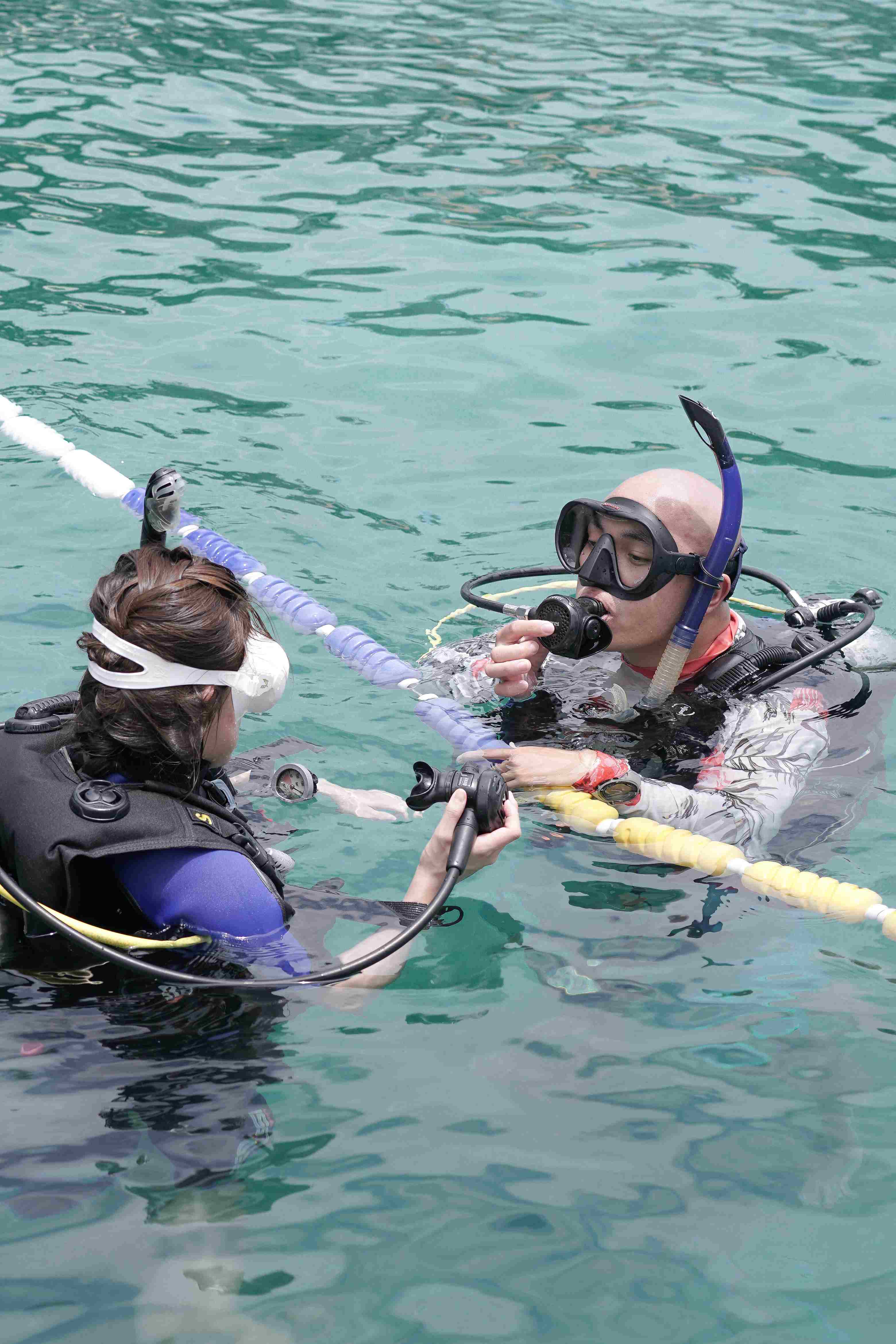 padi-open-water-diver