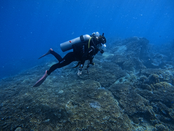 padi-open-water-diver-04