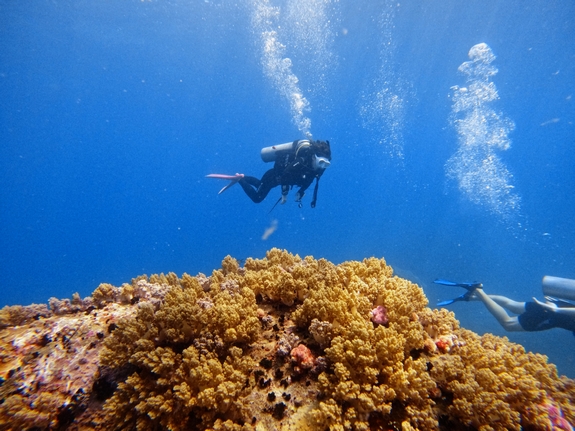 padi-open-water-diver-02