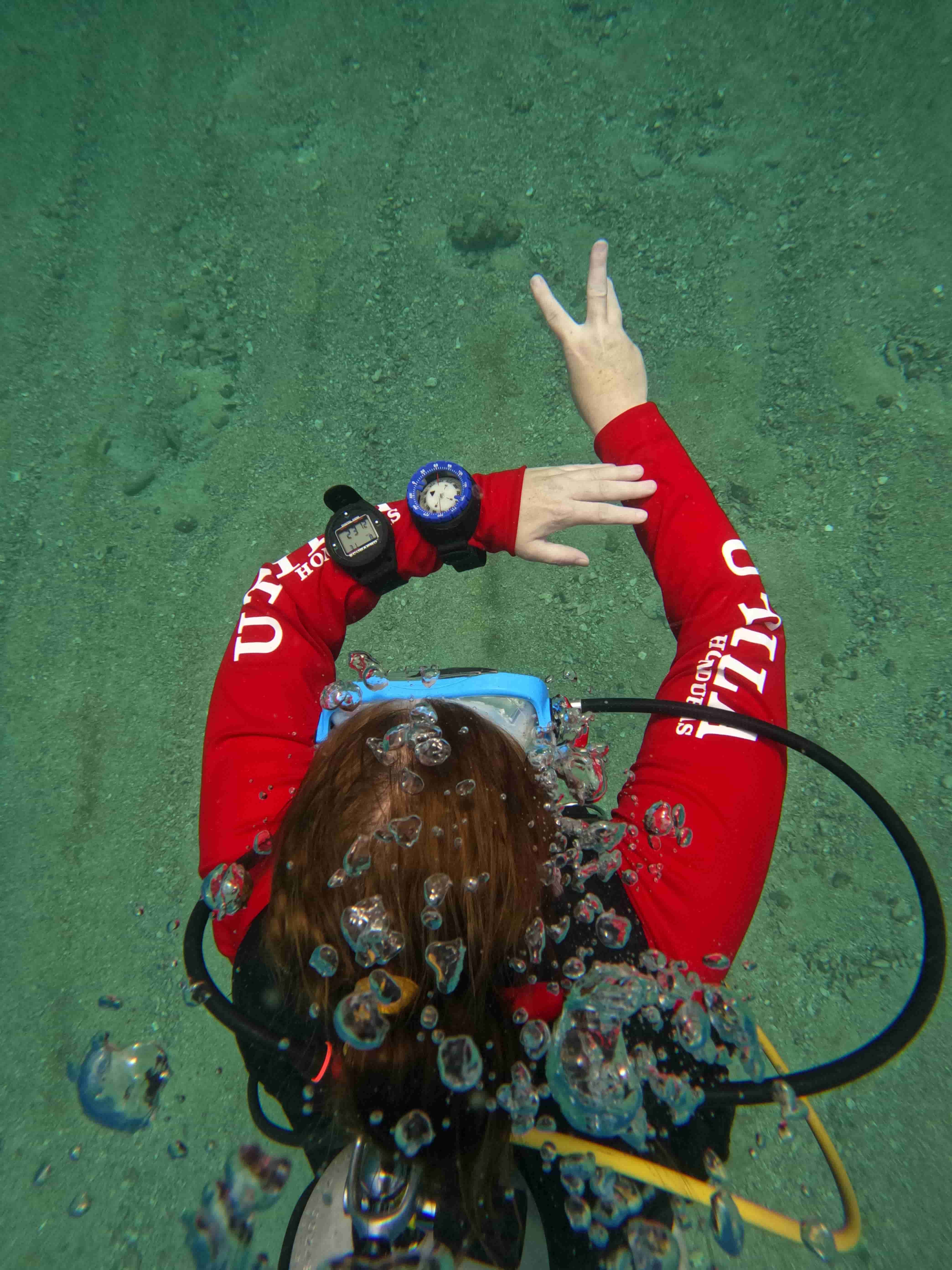 padi-underwater-navigator-dinh-huong-