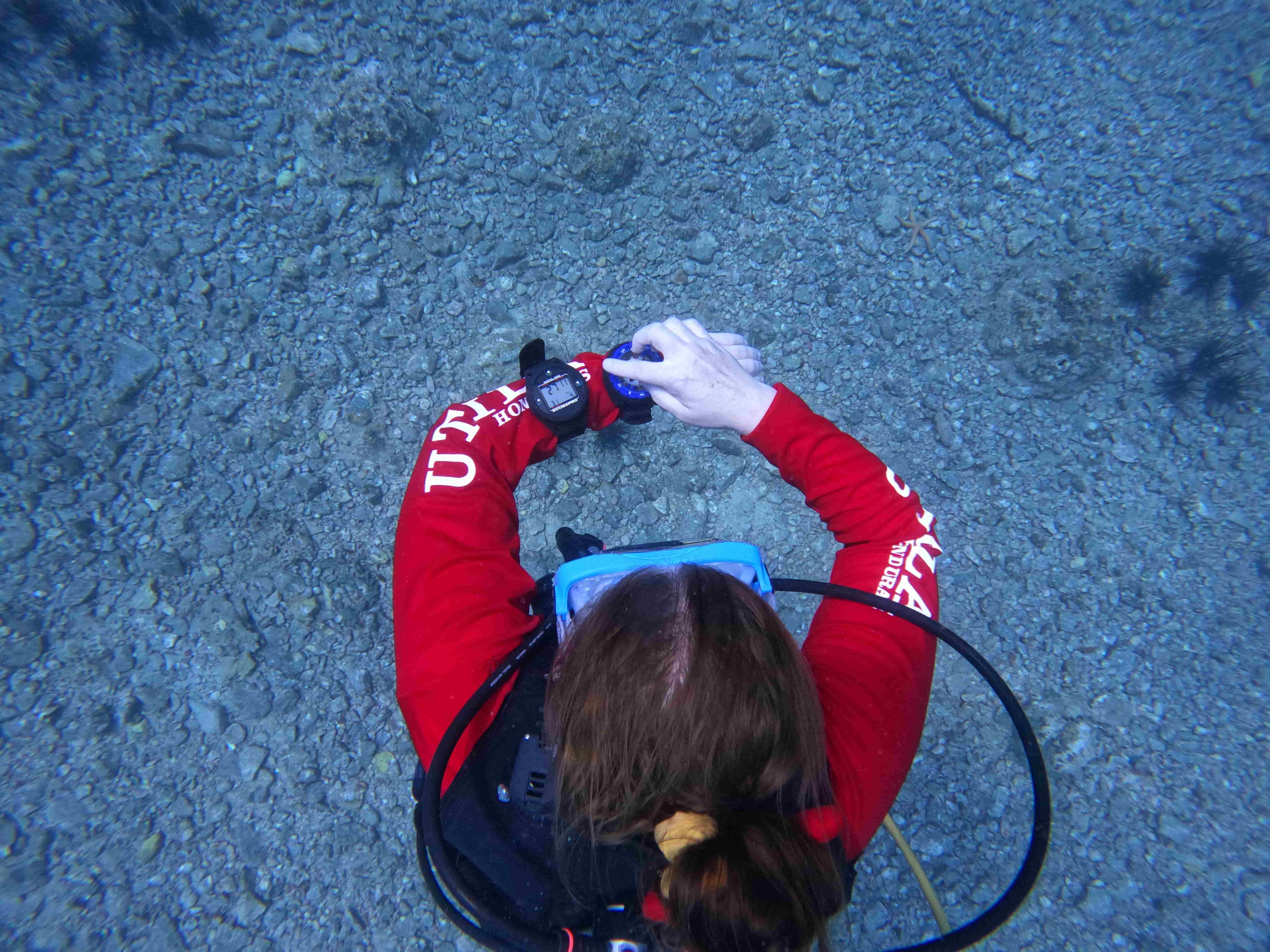 padi-underwater-navigator-dinh-huong-