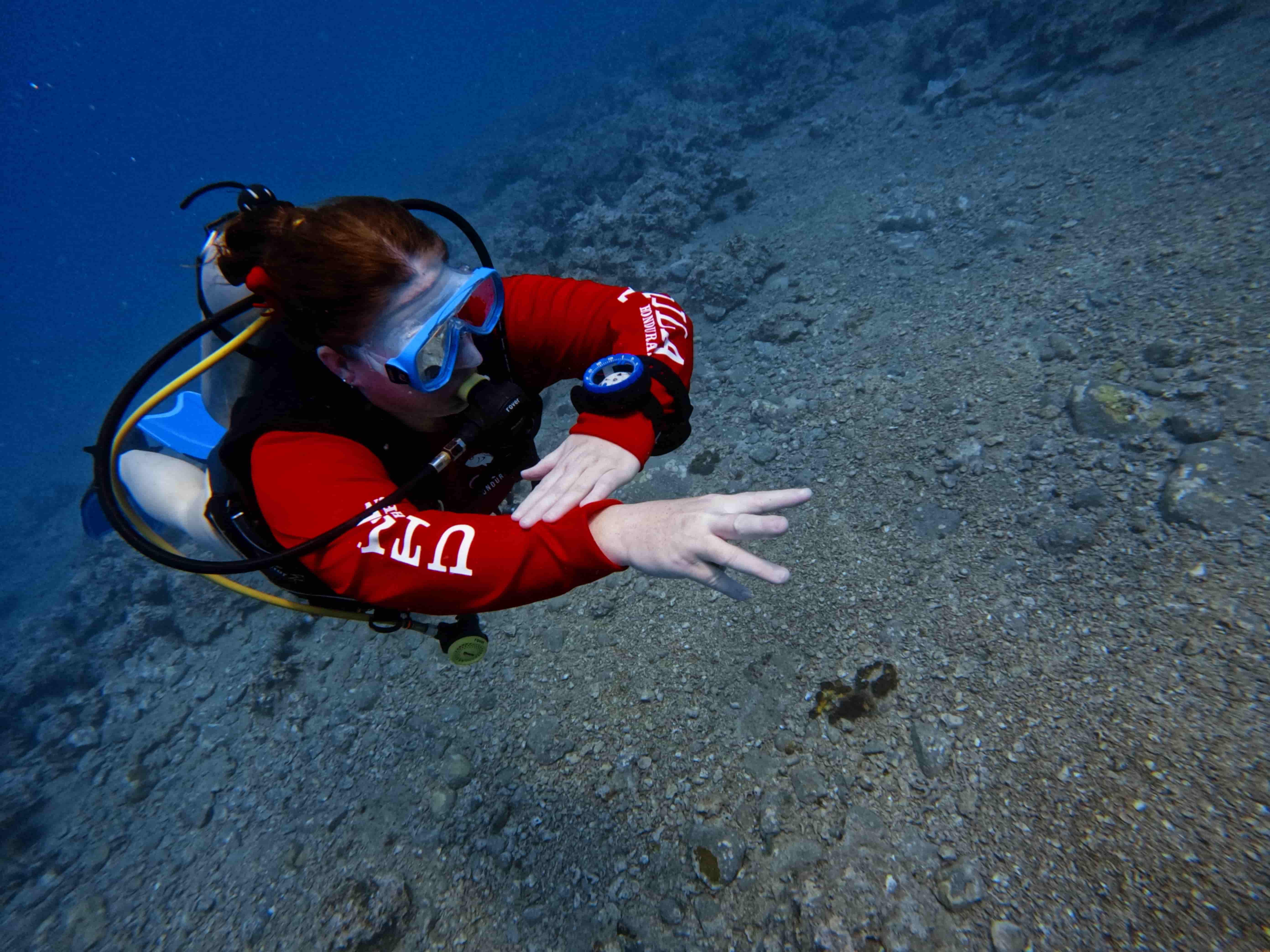 padi-underwater-navigator-dinh-huong-