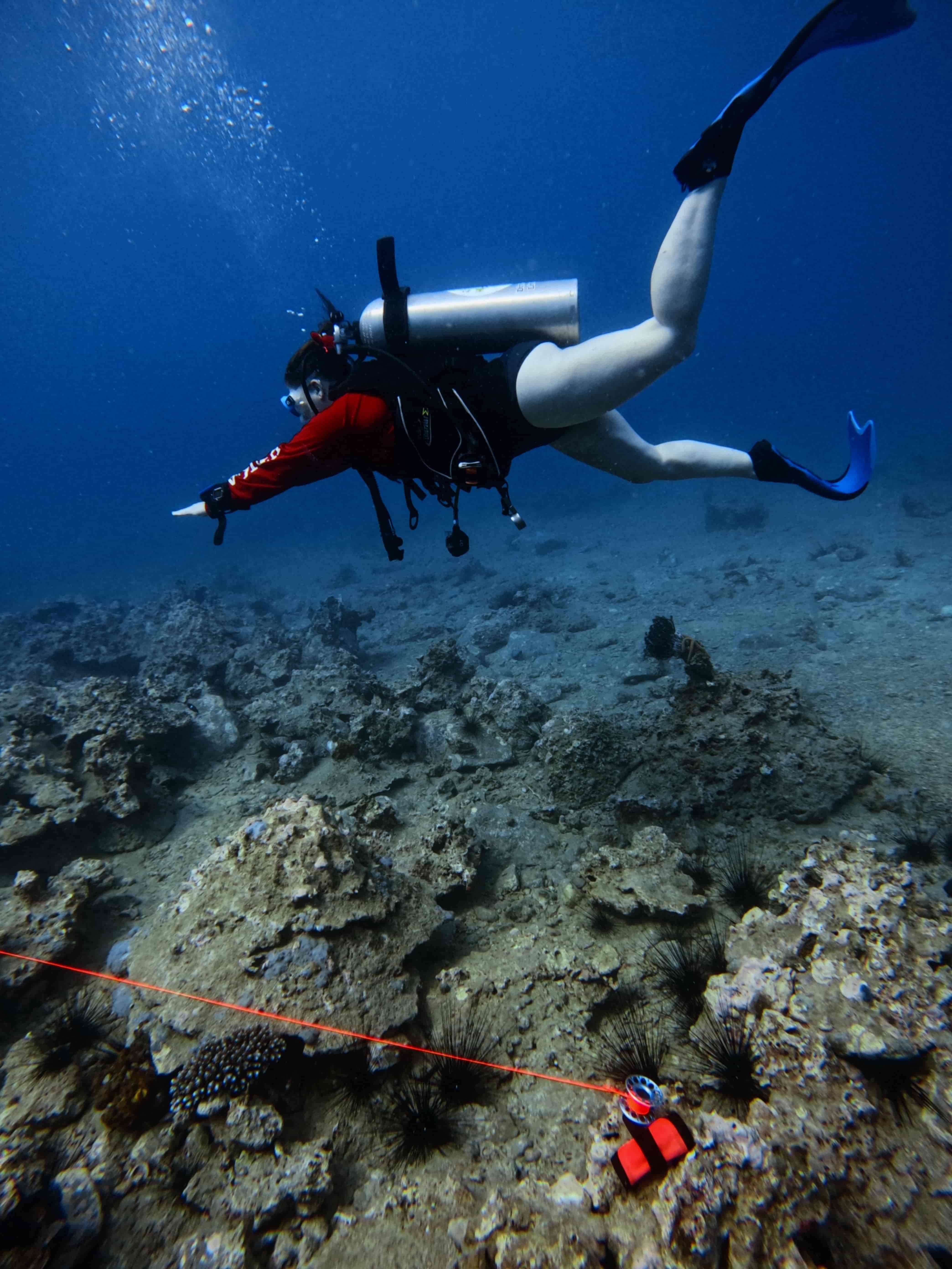 padi-underwater-navigator-dinh-huong-
